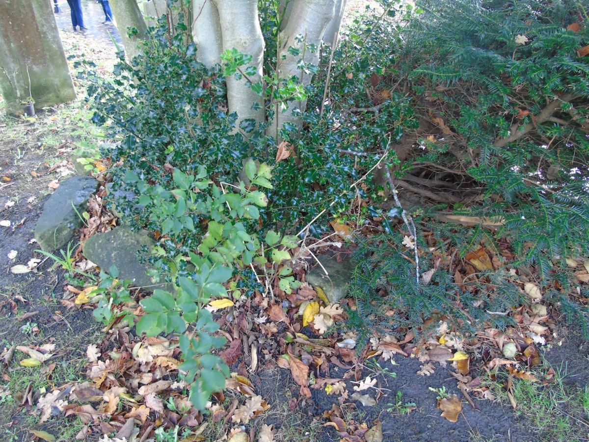 Click for full size image of Folkestone moot stones (PID:208238) Folkestone moot stones