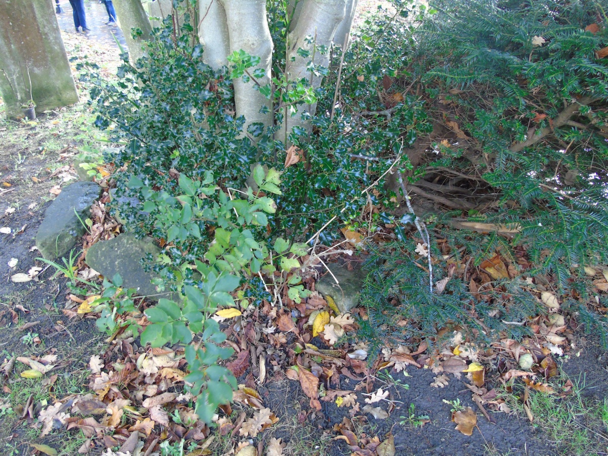 Folkestone moot stones