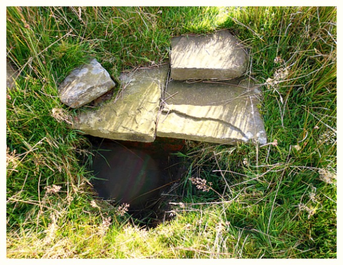 St Chad's Well, Tinedale Farm, Spen Brook.