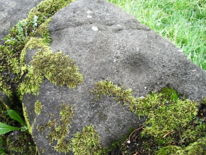Wycoller Cup-marked Stones