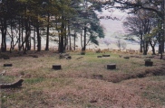 Click for full size image of Bleasdale (PID:188536) Bleasdale