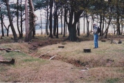 Click for full size image of Bleasdale (PID:188532) Bleasdale
