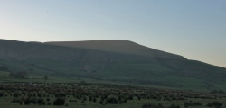 Click for full size image of Bleasdale (PID:165378) Bleasdale