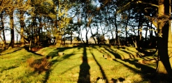 Click for full size image of Bleasdale (PID:165348) Bleasdale