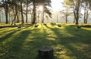 Click for full size image of Bleasdale (PID:165349) Bleasdale