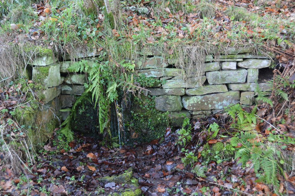 Tommy Stout's Well (Thornley Gate)