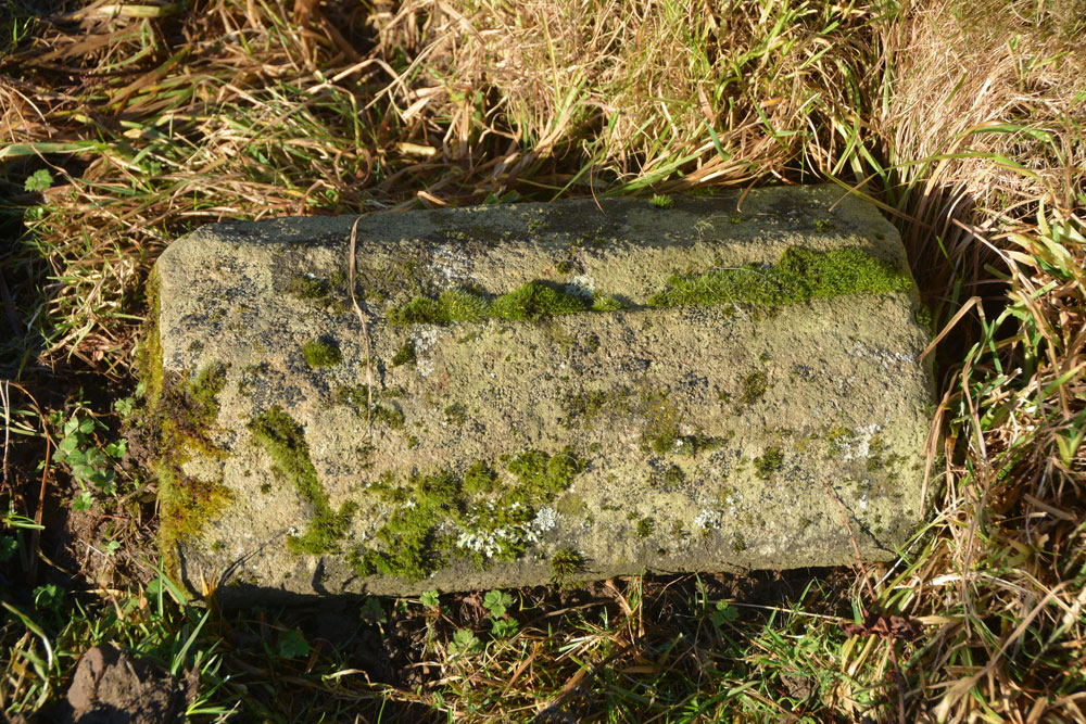 Limestone Brae (West Allen)