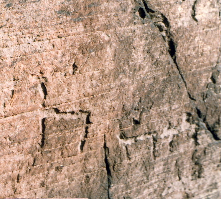 Romano British rock carvings? Photograph taken in autumn 1989. Three primitive looking animals can be seen.

NT975370