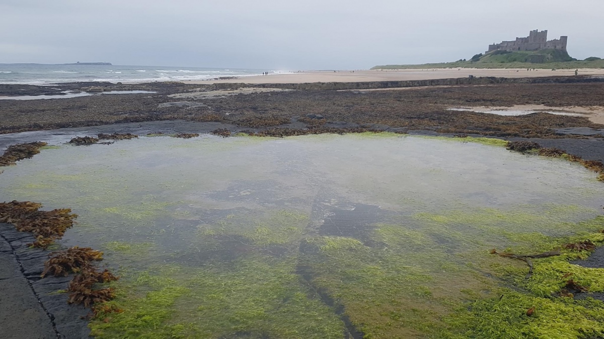 Click for full size image of Bamburgh Castle (PID:263486) Bamburgh Castle