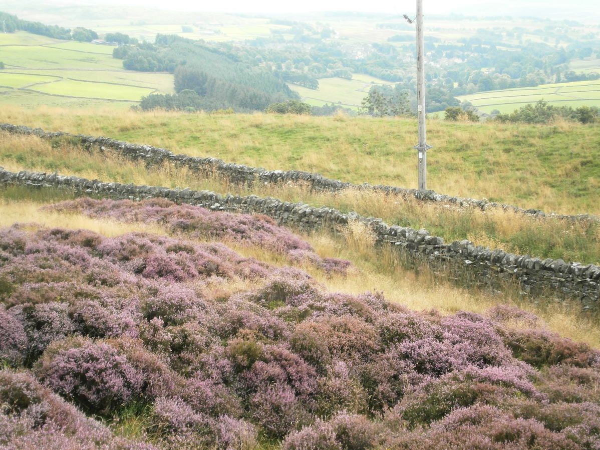 Kirkhaugh Barrow