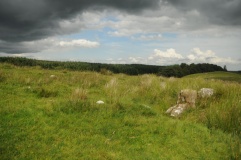 Click for full size image of Simonburn (PID:121516) Simonburn