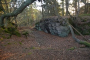 Callaly Castle Hillfort