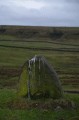Click for full size image of Mare and Foal (PID:144559) Mare and Foal
