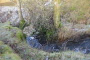 Click for full size image of Mill Knock Chalybeate Well (Birtley) (PID:176112) Mill Knock Chalybeate Well (Birtley)