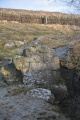 Click for full size image of Mill Knock Chalybeate Well (Birtley) (PID:176117) Mill Knock Chalybeate Well (Birtley)