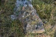 Click for full size image of Mill Knock Chalybeate Well (Birtley) (PID:176114) Mill Knock Chalybeate Well (Birtley)