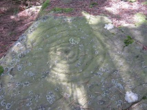 Weetwood Moor Plantation Rock - PID:82351