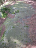 Weetwood Moor Plantation Rock - PID:82348