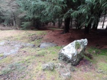 Amerside Law Standing Stone - PID:108488