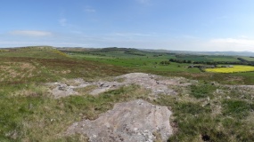 Broomridge 2 - PID:109128