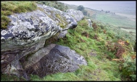 Click for full size image of Ketley Crag Rock Shelter 1 (PID:129732) Ketley Crag Rock Shelter 1