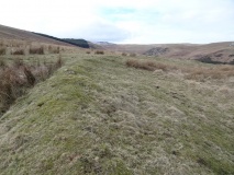 Ingram Hill - PID:104821