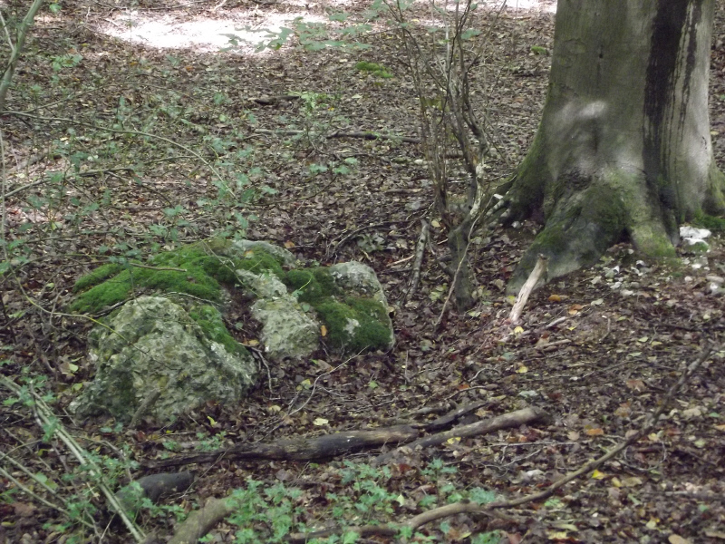 Stoke Row Puddingstone