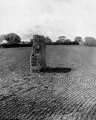 Click for full size image of Devils Quoits (PID:261633) Devils Quoits