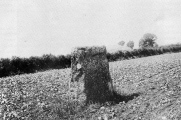 Click for full size image of Devils Quoits (PID:261631) Devils Quoits