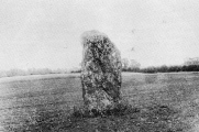 Click for full size image of Devils Quoits (PID:261628) Devils Quoits