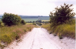 Ridgeway - PID:16271