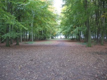 Badbury Hill - PID:84269