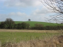 Brightwell Barrow - PID:87196