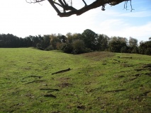 Lower Coxwell Camp - PID:84302
