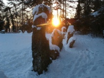 Rollright Stones - PID:96556