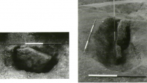 Click for full size image of Devils Quoits (PID:261639) Devils Quoits