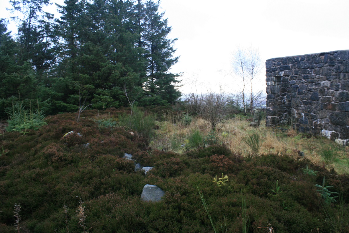 Selattyn Hill Ring Cairn