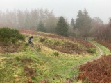 Bury Ditches (Shropshire)