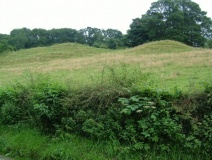Caus Castle - PID:16002