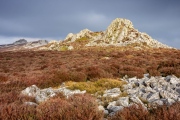 The Stiperstones