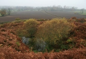 Click for full size image of Old Oswestry Fort (PID:101970) Old Oswestry Fort