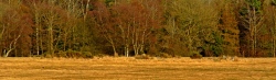 Click for full size image of Hoarstones (PID:45885) Hoarstones