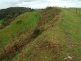 Click for full size image of Old Oswestry Fort (PID:144210) Old Oswestry Fort