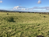 Click for full size image of Old Oswestry Fort (PID:279545) Old Oswestry Fort