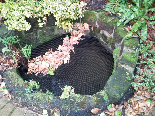Maiden's Well