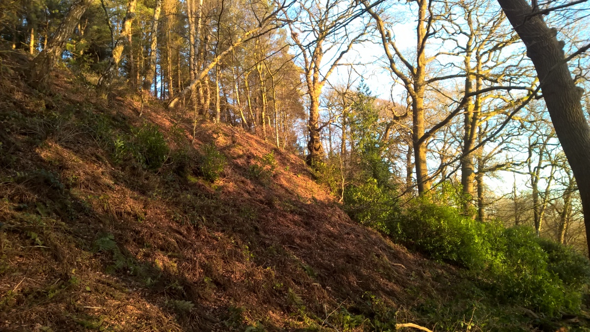 Click for full size image of Berth Hill (PID:248595) Berth Hill