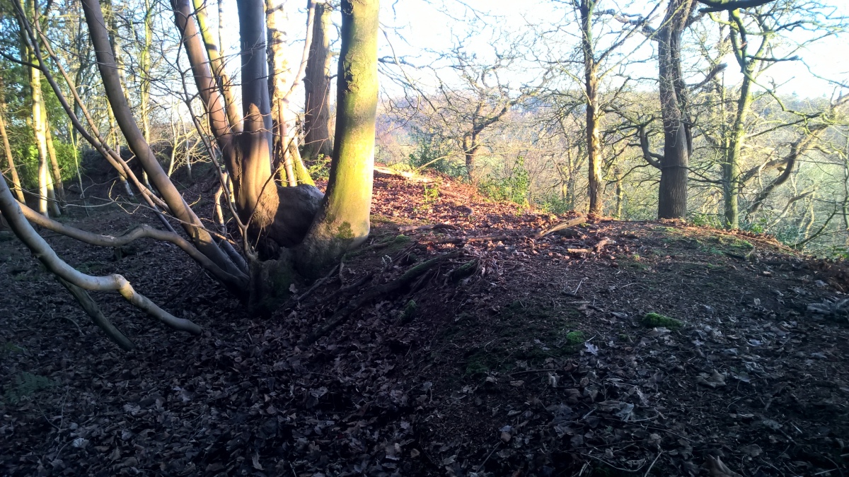 Click for full size image of Berth Hill (PID:248597) Berth Hill