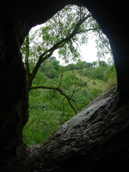 Click for full size image of Wetton Mill Rock Shelter (PID:22965) Wetton Mill Rock Shelter