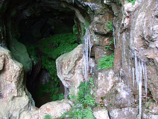 Elder Bush Cave