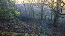 Click for full size image of Berth Hill (PID:248575) Berth Hill